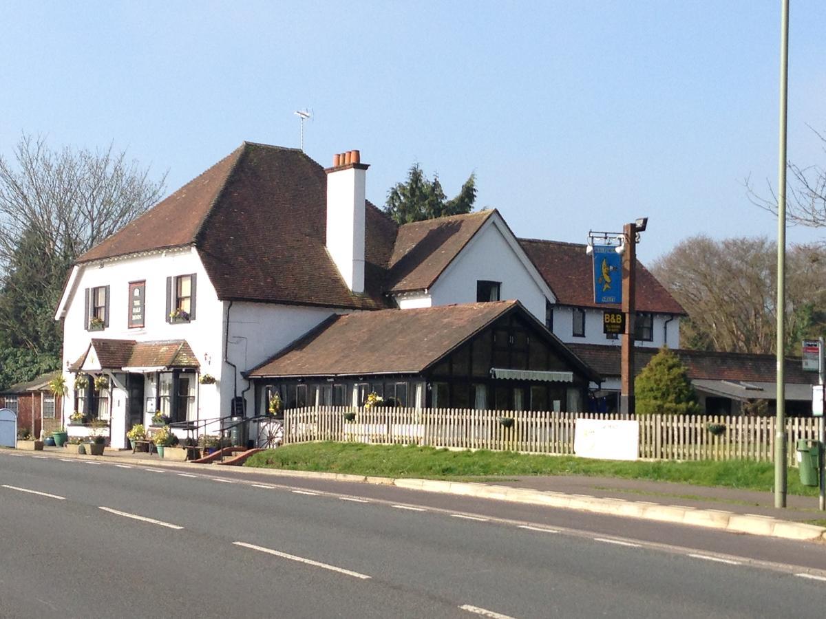 Hotel The Half Moon Petersfield Exterior foto